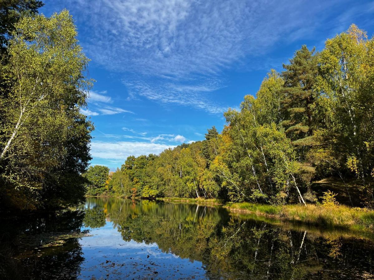 Ferienwohnung Am See Dillich - Eigener Garten - Ruhige Lage - Natur Vor Der Haustuer Borken  Exterior foto